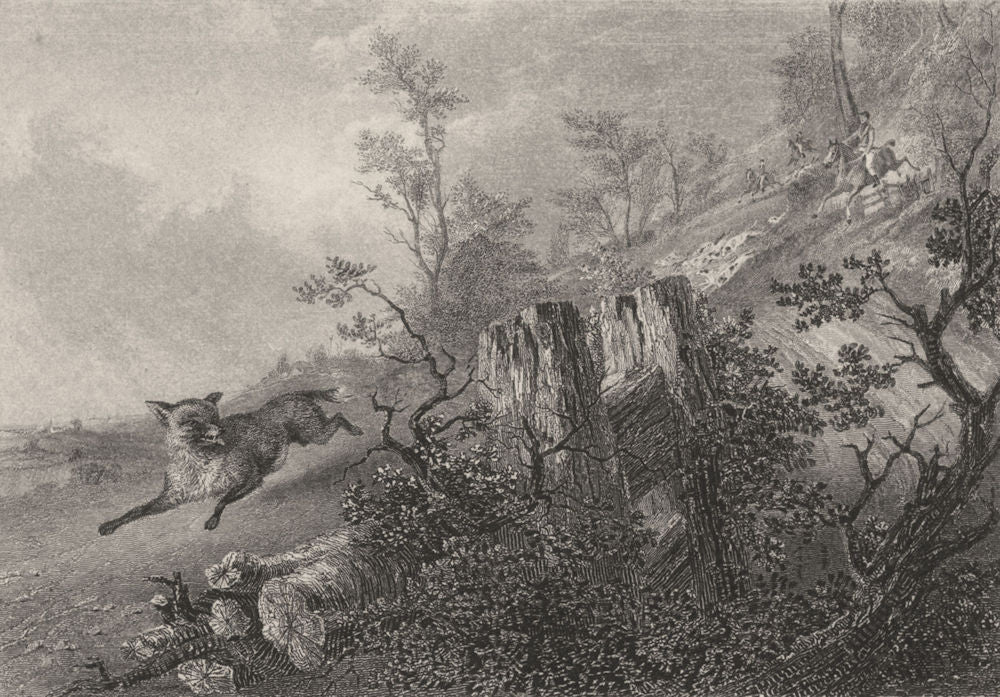 DOGS. Fox Hunting. Dogs in pursuit. Good steel engraving (Edward Jesse) 1888